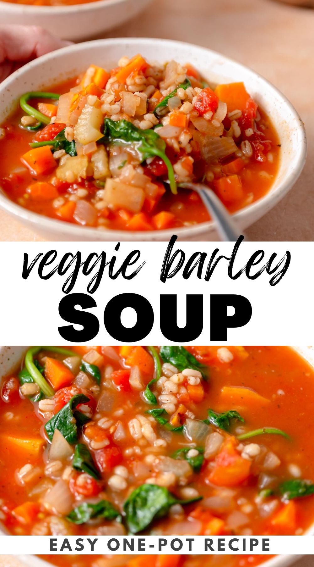 Pinterest graphic for healthy vegetable barley soup recipe with an image of the soup and a text title.