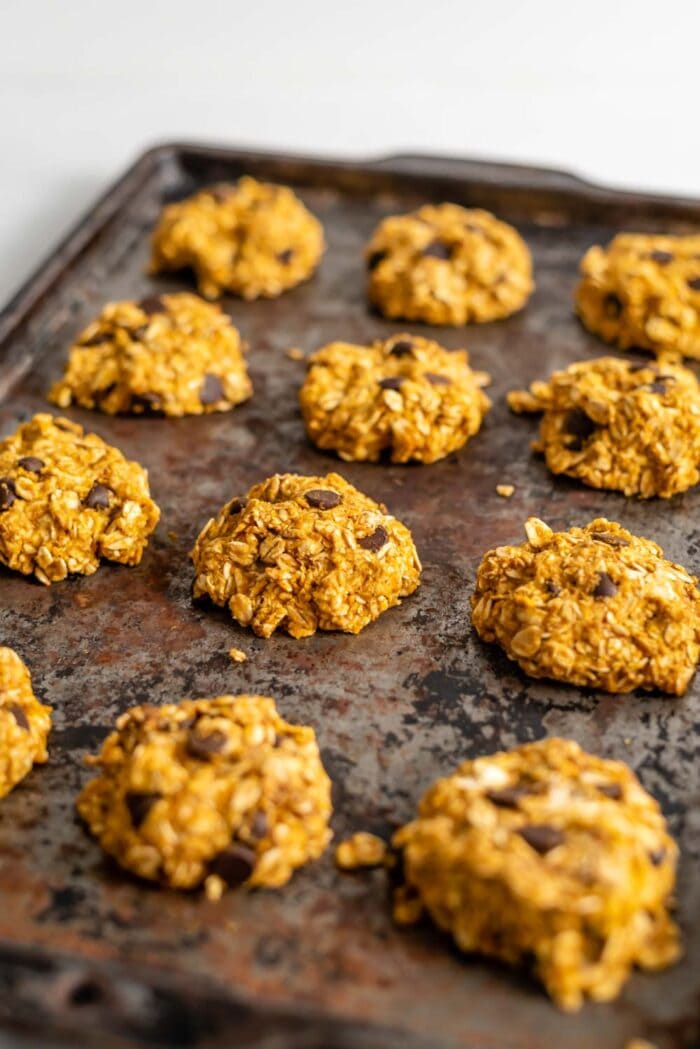 Chocolate chip pumpkin cookies on a baking tray.