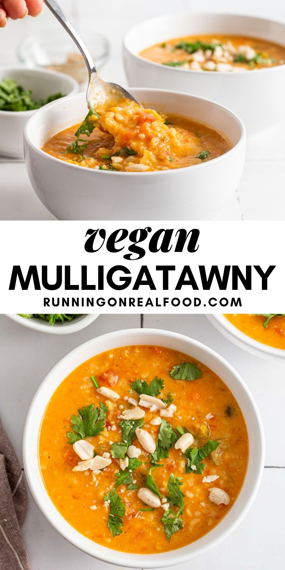 Pinterest graphic with an image and text for mulligatawny soup.