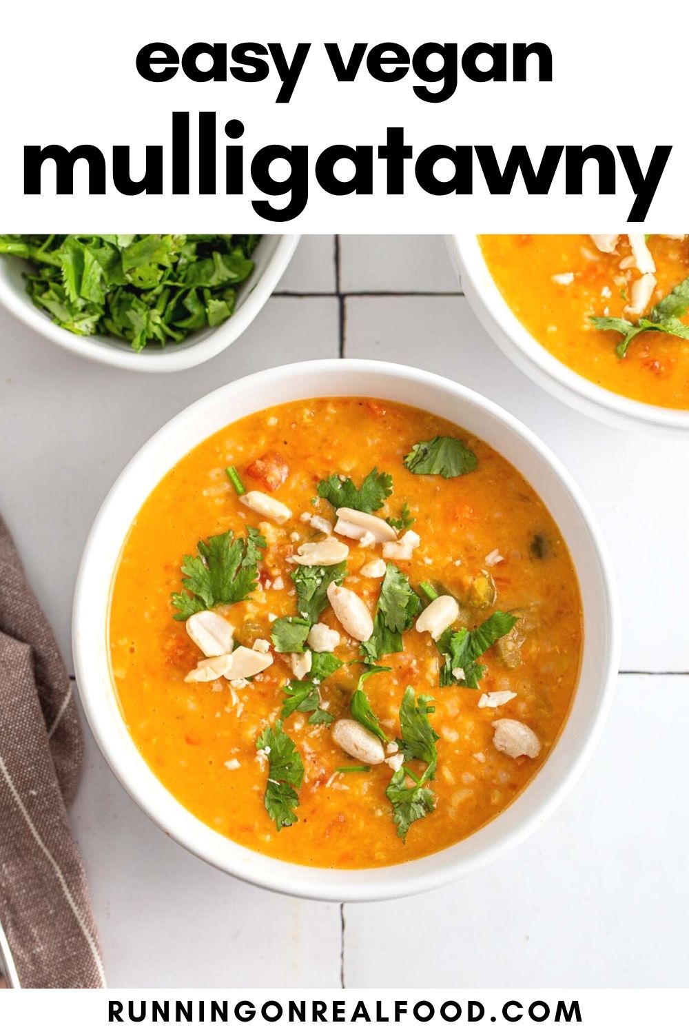 Pinterest graphic with an image and text for mulligatawny soup.