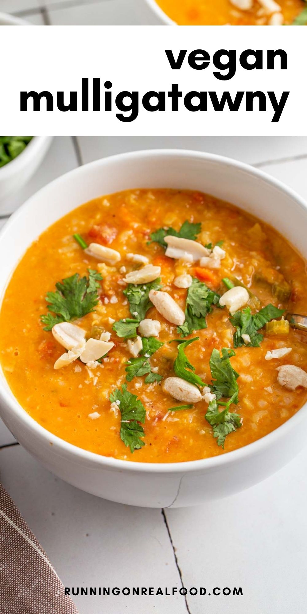 Pinterest graphic with an image and text for mulligatawny soup.