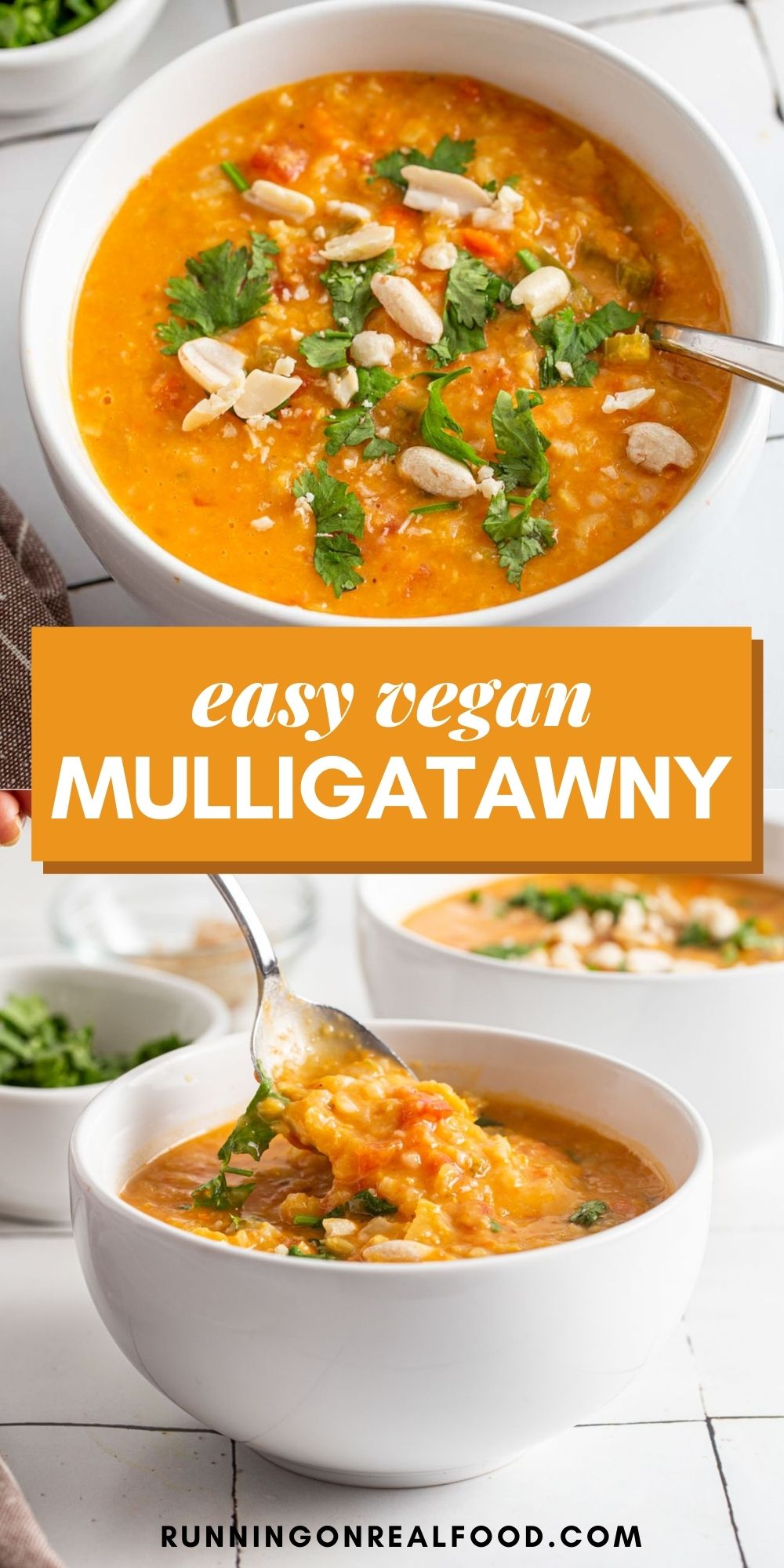 Pinterest graphic with an image and text for mulligatawny soup.