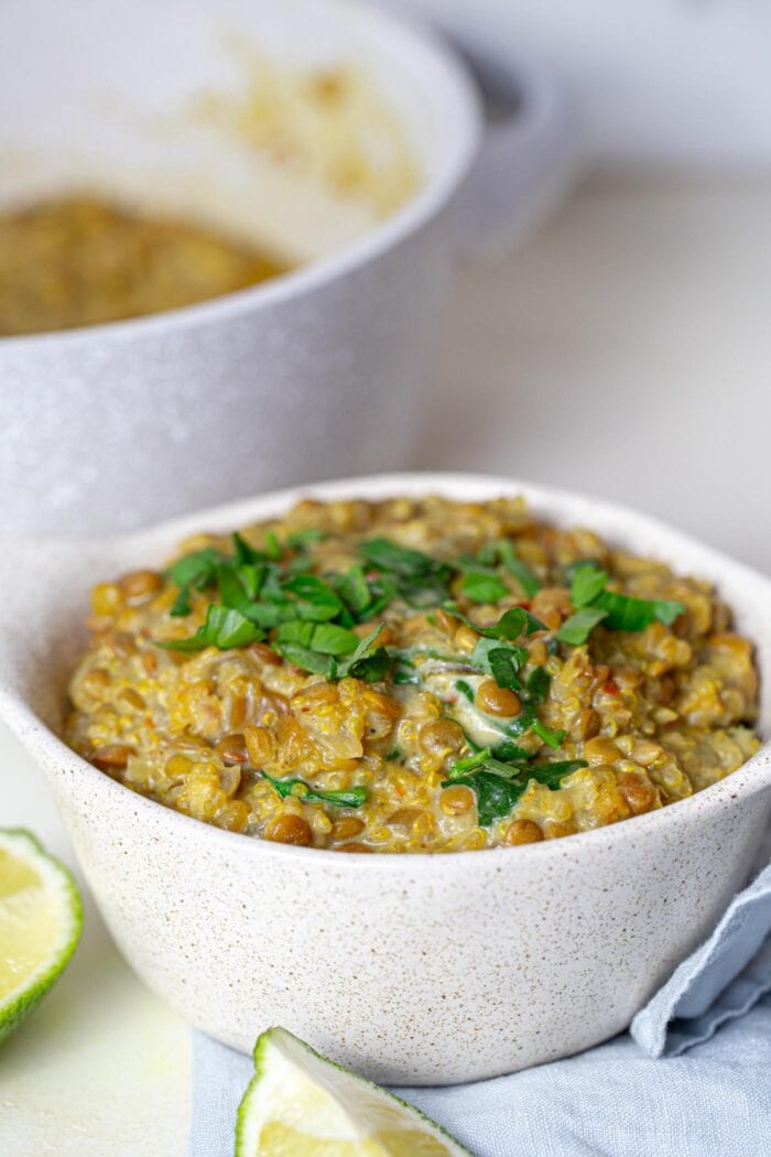 A bowl of vegan curried lentils with quinoa topped with chopped cilantro with a sliced lime beside the bowl and a pot of lentils in the background.