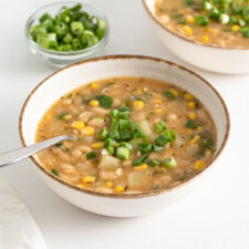 Bowl of white chili topped with sliced scallions.